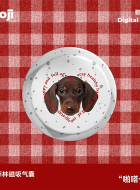 POOJI宠物定制菲林手机支架磁吸Magsafe高级小众猫狗来图DIY礼物