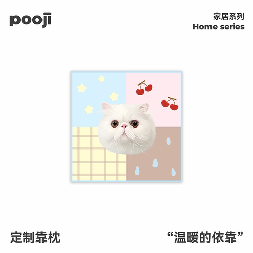 POOJI宠物定制抱枕沙发靠枕靠垫白猫照片定制宠物纪念原创设计款