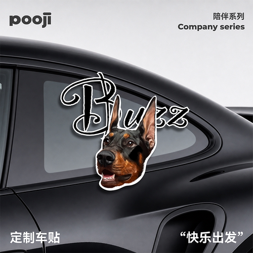 POOJI定制车贴汽车贴纸来图DIY