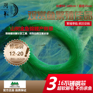 金鱼繁殖草 观赏鱼孵化草 兰寿产卵草 鱼卵孵化刷 鱼巢