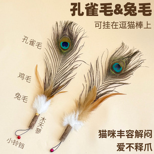 猫玩具孔雀毛逗猫棒替换头真毛羽毛兔毛鸡毛木天蓼猫咪丰容解闷