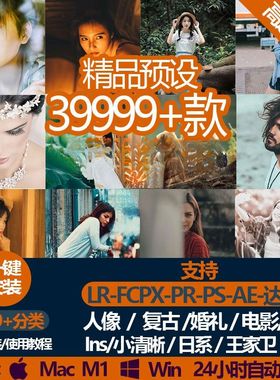 lr预设Pr调色ps滤镜lut手机lightroom达芬奇fcpx插件婚礼清新素材