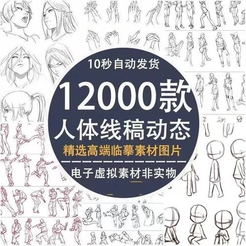 精选人体结构线稿临摹美术绘画表情动态电子透视构图参考资料合集
