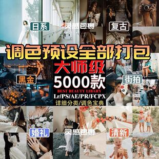 fcpx预设滤镜pr调色剪映人像lut插件复古街拍灵感包胶片素材模板