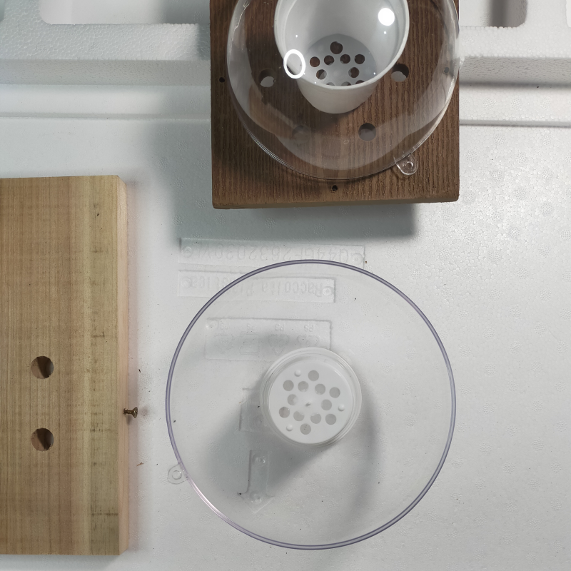 鹿角蕨水苔塑型盆亚克力塑球罩新手鹿角蕨懒人快速水苔球模具工具,鲜花速递/花卉仿真/绿植园艺,其它园艺用品,淘宝优惠券,粉丝福利购,淘宝优惠卷