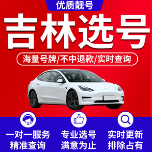 通化白山梅河口长白山长春市自编车牌选号号码库新能源汽车12123