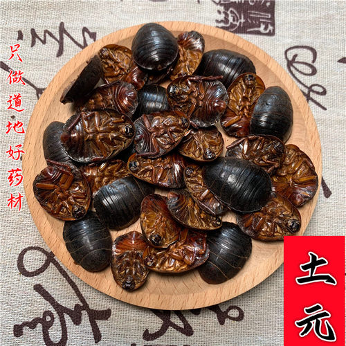 土元中药材正品土元粉地鳖虫粉