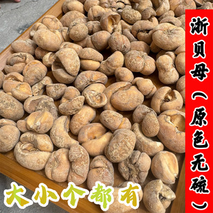 正品浙贝母 新货无硫野生浙贝 整个大贝母象贝 浙贝母片中药材