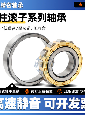 丹洋国产圆柱滚子轴承N NU NJ RN NUP NF1006 1007 1008 1009EMC3