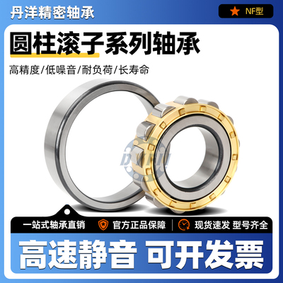 丹洋圆柱滚子轴承N2205