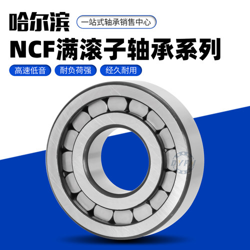 哈尔滨通用圆柱滚子轴承丹洋