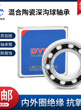 丹洋高速混合陶瓷球轴承6207 6208 6209 6210 6211 6212 6213ZZRS