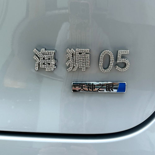 海狮海鸥海豚0507海豹06GT字体贴