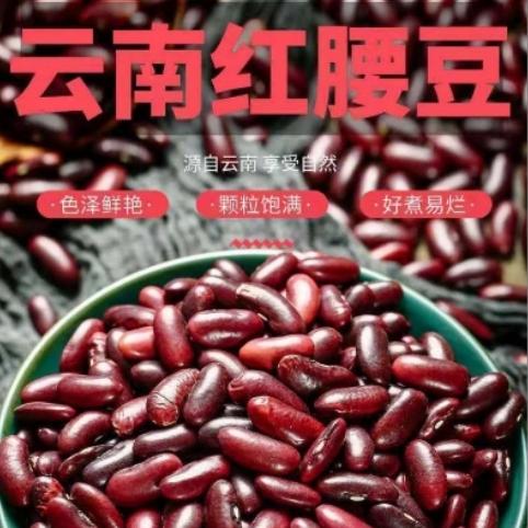 新货云南农家自产红腰豆