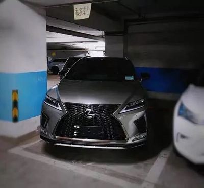 20雷克萨斯运动前唇护板雾灯格栅