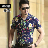 666红色