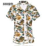 888绿色