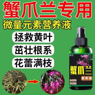 蟹爪兰专用肥黄叶不开花干瘪酸性植物叶面喷施一喷绿营养液通用型