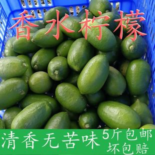 免邮 海南香水柠檬新鲜青柠檬 无籽清香味5斤 包邮 奶茶饮品店用