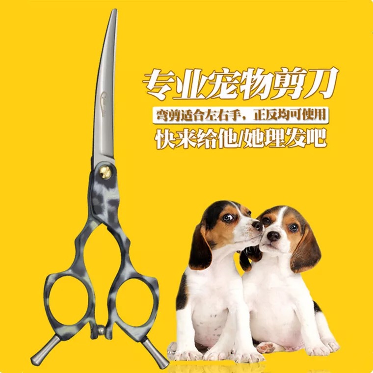 ÐÞë¼ô