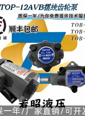 TOP-11A中研液压TOP-12AVB专用摆线泵ROP/TOP-10A/11A/12A/13AVB