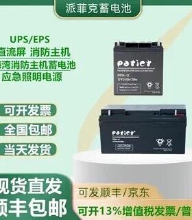 Patict派菲克蓄电池NP65-12V24AH38H65AH100AH120AH150AH消防