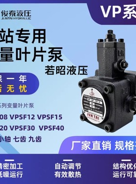 JUNTAI俊泰VP-SF-20-D液压油泵30 15 12 40变量叶片泵压头VP20S9