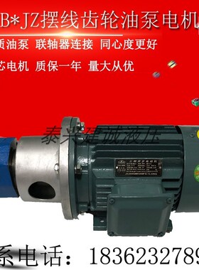 BB-B40JZ/B50JZ BB-B63/B100/B125JZ立卧摆线齿轮油泵电机组380V