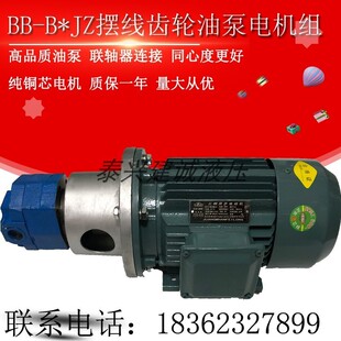 B100 B63 B50JZ B125JZ立卧摆线齿轮油泵电机组380V B40JZ