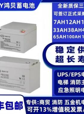 BABY鸿贝蓄电池FM/BB1228T12V28AH7A18A20A24A38A40A55A65A100AH