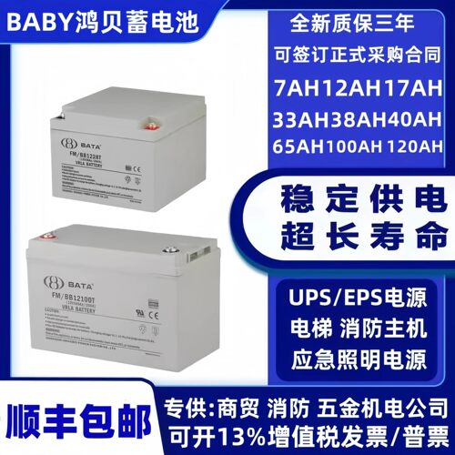 BABY鸿贝蓄电池FM/BB1228T12V28AH7A18A20A24A38A40A55A65A100AH