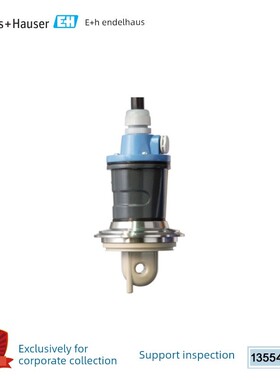 正品E+H电导率电极CLS54-ACS1022 CLS50D-AA3B21 CLS21-C1N2A环形