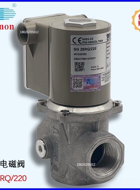 燃气电磁阀 SG15RQ/220 SG20RQ SG25RQ/220 SG40RQ SG50RQ/220