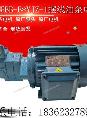 上海东高液压BB-B16Y/32/25Y/20YJZ-1摆线油泵电机组BB-B50Y2JZ-1