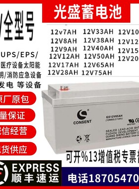 同意灯盛GS12V65AH电池12 v100/65/38/24/17/12/9/7 ah