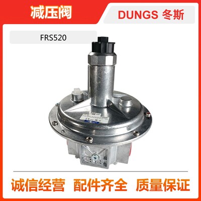冬斯DUNGS燃气减压阀 FRS520 FRS515调压阀FRS5065 FRS510 RS507