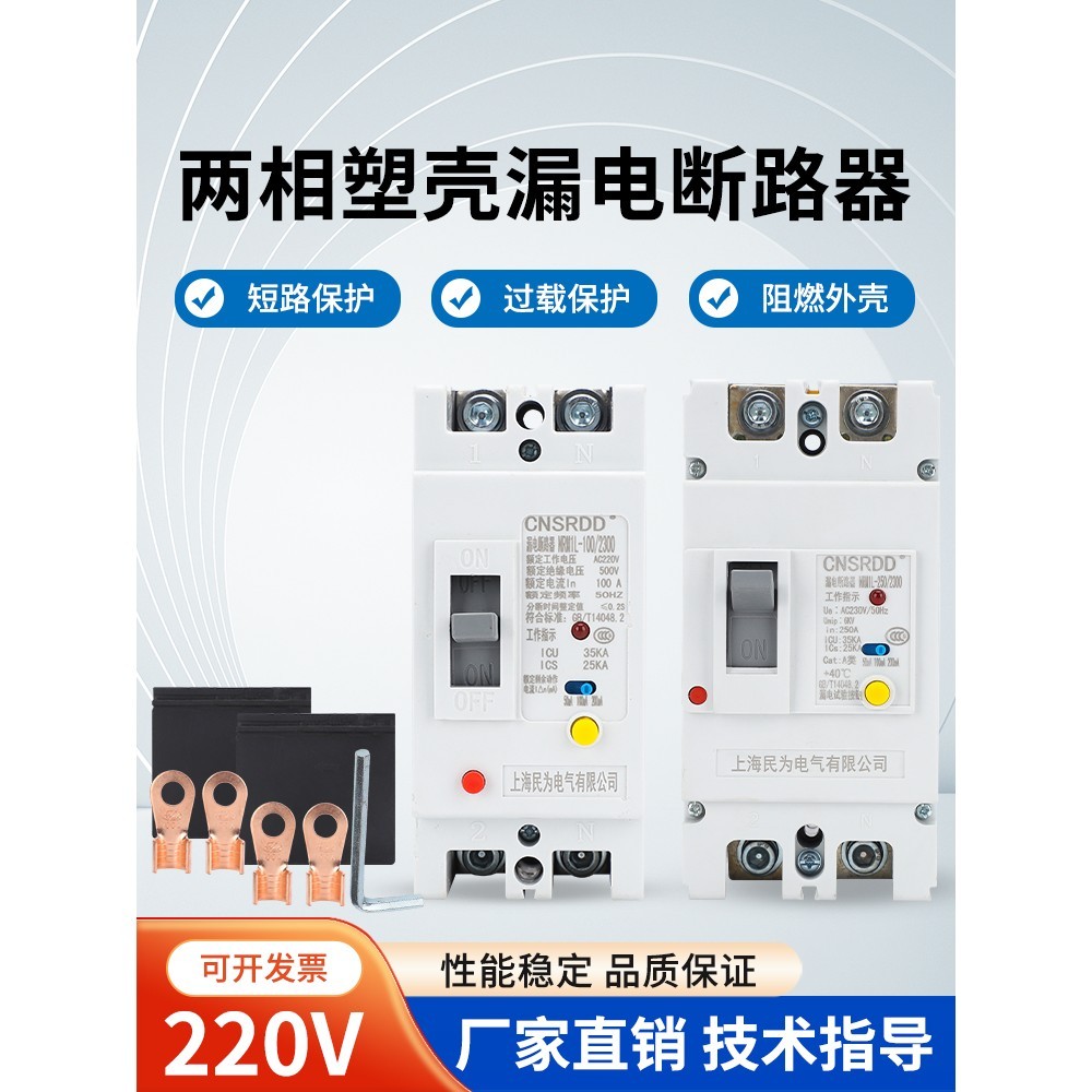 家用单相220V大功率漏保两相塑壳漏电保护器开关63A100A125A250A