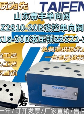 山东泰丰止逆阀Z2S10-20B液控止逆阀Z2S16-30B液压锁Z2S22-30B