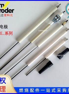 检测电极 德国KROM 贝鲁 insulated FZE300 FZE400 FZE500 FE200