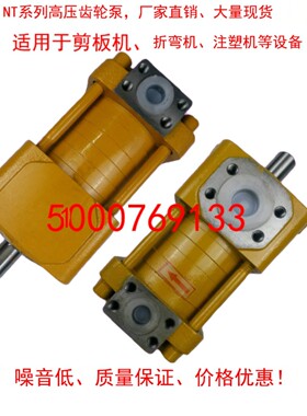 NBZ NBT NT3-G20F G25F G32F NT4-G40F G50F G63F剪板 折弯机油泵