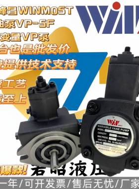 台湾峰昌WINM0ST油泵VP-SF-15/20/30/40-A/B/C/D变量VP泵VP-SF-20