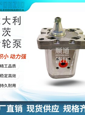 罗茨液压泵RONZIO齿轮泵01ZAG11C401D 02ZAG06C034D 03ZBG50L348D
