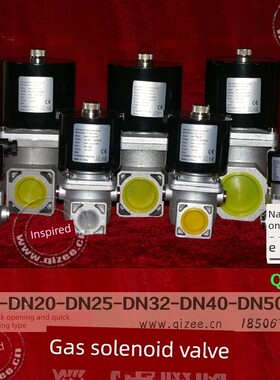 Qve天然气电磁阀Vae国产Dn10 15 20 25 32 40 50 65 80 100