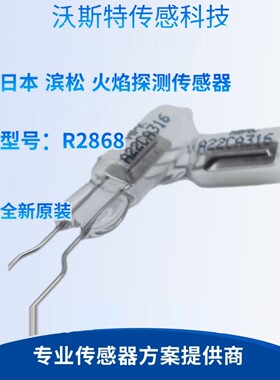 R2868 日本HAMAMATSU 火灾报警器 滨松火焰传感器明火探测光电管