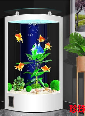 欧式新款2024扇形三角鱼缸墙角靠墙玻璃吧台水族箱生态过滤免换水