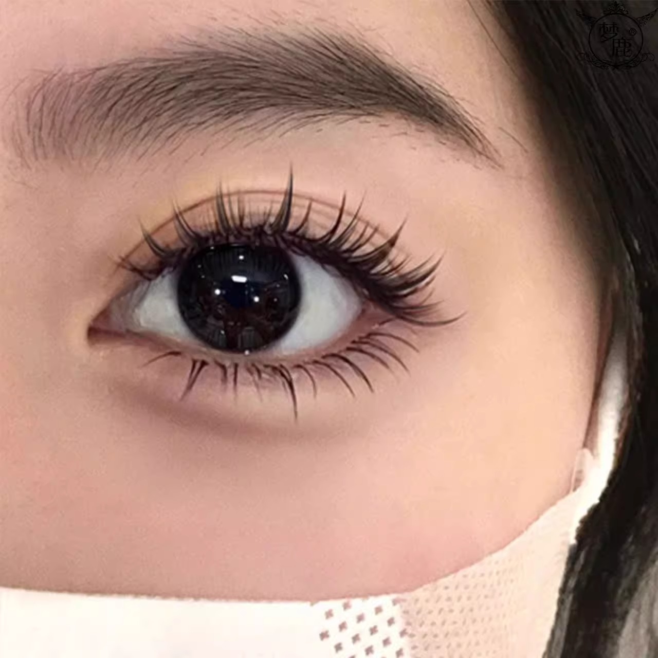 免胶自粘假睫毛懒人自然仿真浓密太阳花三部曲大容量日常妆容分段