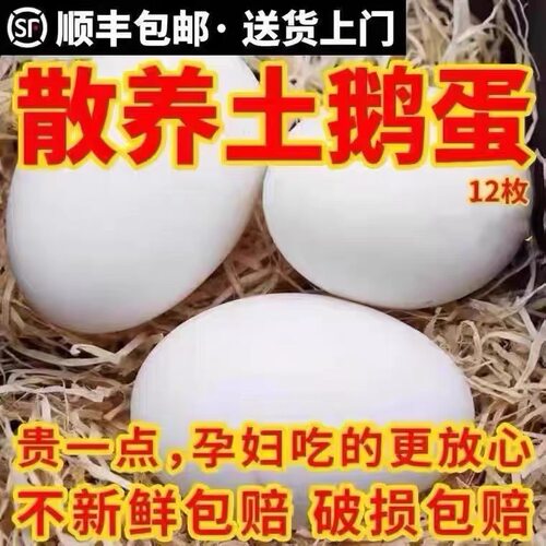12枚装正宗狮头鹅新鲜农家散养土大鹅蛋孕妇去胎毒大号80-120克