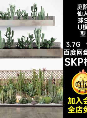 造景仙人球SU模型SKP格式景观庭院阳台肉芦荟90套小品多盆栽植物