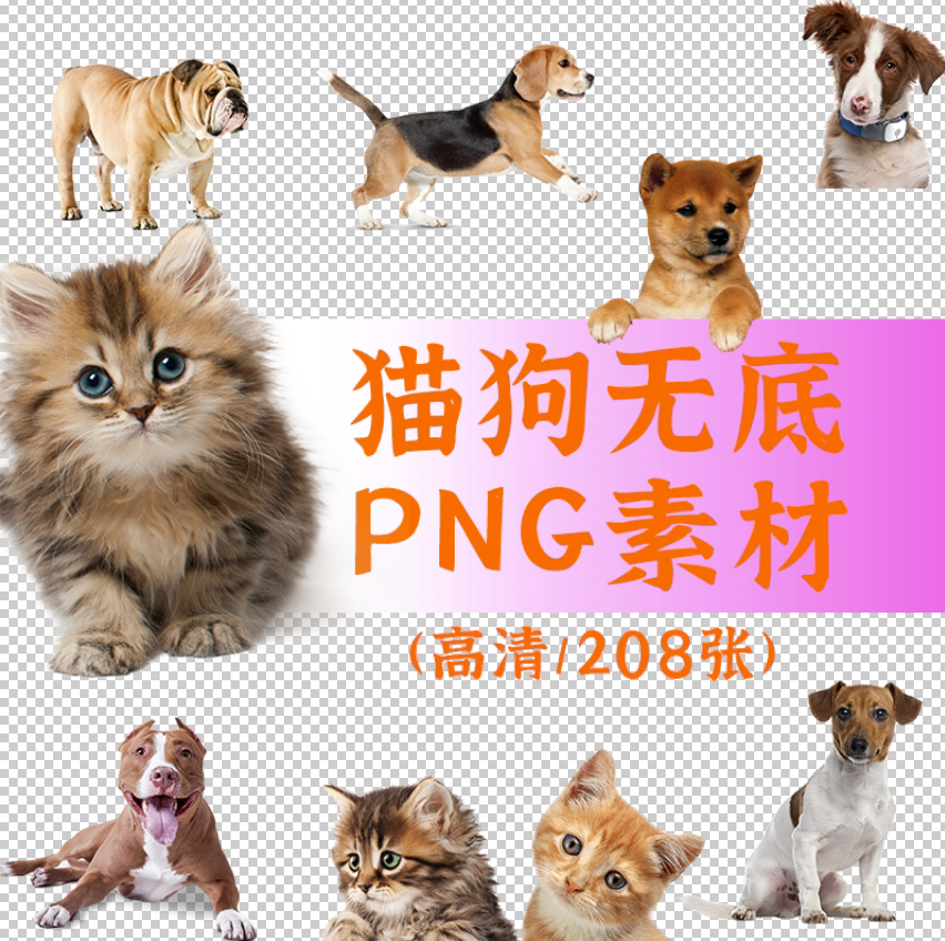 猫狗无底图png素材高像素高清宠物可爱图片免扣素材趣图jpg照片图