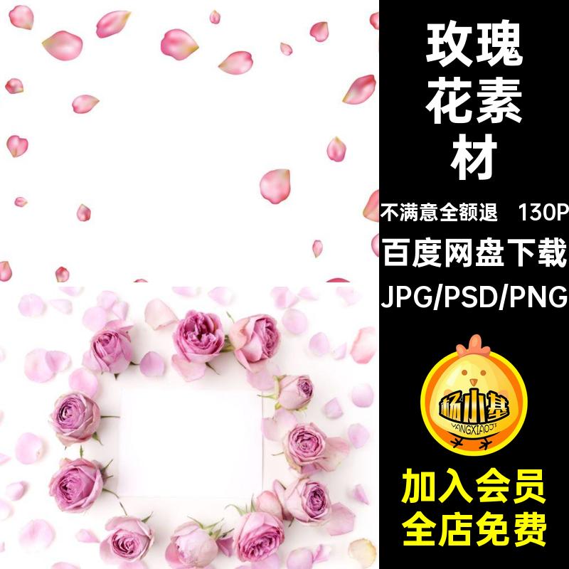 130P玫瑰花素材JPG5高清图片情人节花瓣七夕背景海报粉红色七夕